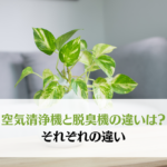 空気清浄機と脱臭機はどちらを使うべき？それぞれの違いと向いている人