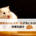部屋がハムスター臭い！？原因と対処法について詳しくご紹介