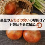 部屋の玉ねぎの臭いの4つの原因とは?対処法を徹底解説