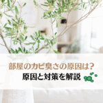 部屋がカビ臭い！原因と対策を解説